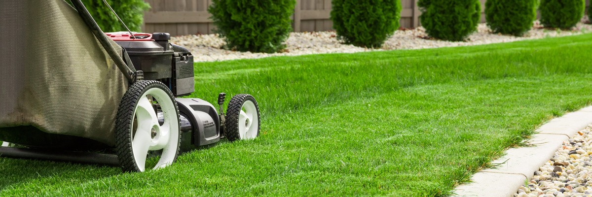Lojas e produtos de Jardim e acessórios no Shopping Online