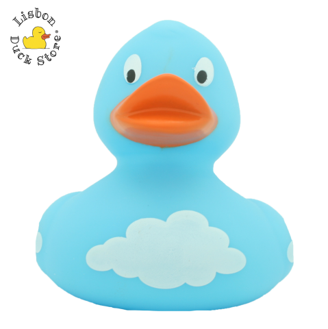  Duck with Clouds