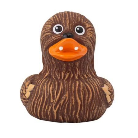 Whooping Duck 