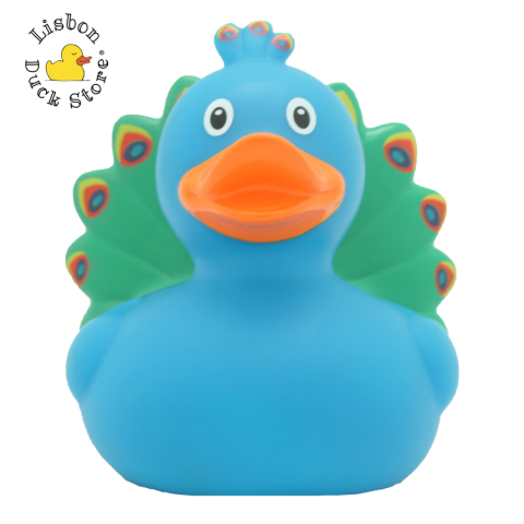 Peacock Duck